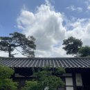 5월 보성가볼만한곳 고택느낌 물씬 한옥카페 춘운서옥 방문 주말 놀거리 보성 명소 국내 여행지 추천