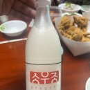 오늘의 막걸리 해남 송우종 옥천 막걸리