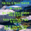 처음 하는 일 돌다리 건네가듯 이미지