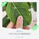622네일 | 지축역네일 일루아뷰티 내돈내산 크리스마스네일 후기♥️