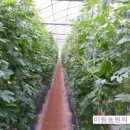 미림농원 이미지