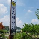 곤드레밥집 이미지