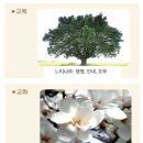 홍익디자인고등학교 | (특성화고/직업고) 홍익디자인고등학교 2026 신입생 입학안내, 2026 학교안내