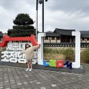 초정행궁 | 청주 아이와 가볼 만한 곳, 세종대왕초정행궁 나들이 후기