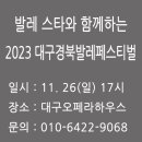 대구경북발레페스티벌 이미지