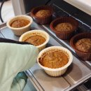 냥클래스 이미지