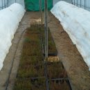 금송하우스 이미지