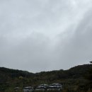 스키클럽엑스 | 가을비와 단풍 속, 알펜시아cc 회원제 메도우(MEADOW), 포레스트(FOREST)코스 재방문 라운딩후기