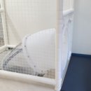 가평키즈풀빌라더626 이미지