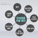 몸속 염증 제거 만성염증 원인 이미지