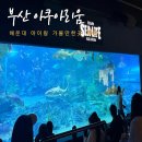 섬 | 부산 해운대 아이랑 가볼만한곳 추천 부산 아쿠아리움 할인 여행특공대 티켓 후기