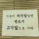 바른정육 이미지