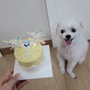 견생공방 이미지