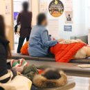 곰돌이연합소아청소년과의원 이미지