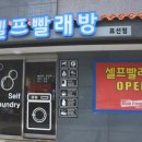 표선간판