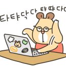 아레나피씨 이미지