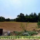 인더스주 이미지