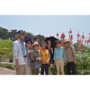 고성고등학교 이미지