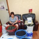 지구단위계획 내 농지도 &#39;농취증&#39;이 필요한가? 이미지