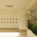 시그널 크로스핏 이미지