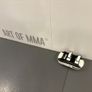 ART OF MMA | 압구정로데오킥복싱 7주차에 주짓수를 곁들이기 시작한 풀 종목 1주차^_^ 이자 반성문