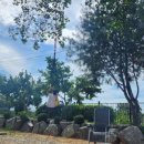 오목초등학교병설유치원 이미지