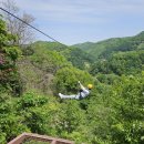 좌구산캠핑장 이미지