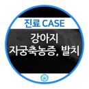 SKY동물병원 이미지