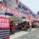 대천항수산시장 이미지