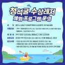 매일레져