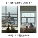 월내역 | 부산 기장 월내역 감성카페 추천 아이랑 가기 좋은 월내커피