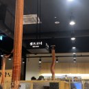 팔각도고양