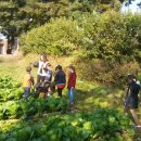 사창농장 이미지