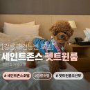 강릉애견하우스 | 설연휴 국내겨울여행 추천｜강릉 세인트존스호텔 애견동반 펫트윈룸(오션뷰) 후기