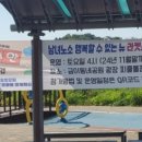 피클볼피플 이미지