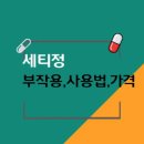 (주)세티