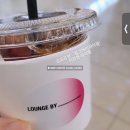 제주특별자치도 제주시청 노동조합 | 벚꽃과 출근사이