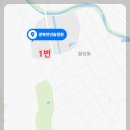 천년숲 이미지