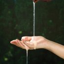 4870 | 건조한 두피 걱정되면서 찾은 나드 샴푸, 4가지 향 중 취향 고르기