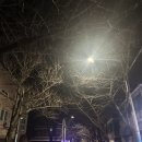 충장로446번길 이미지