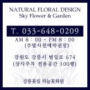 교동꽃화원