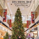 지파시롯데몰 이미지