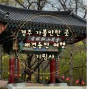 원효정사 | 경주 기림사 애견동반 사찰 경주 가볼 만한 곳 경주 사찰 경주 템플스테이 경주 숨은 여행지