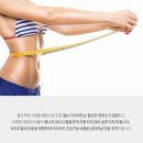 에이스바디