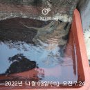 강남호 | 군산 비응항 강남호 타고 문어 낚시 다녀왔어요.