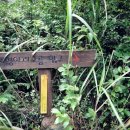 상천리-3 이미지