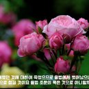 [성경필사] 정결 _ 2024.06.19 _ 수요일에 주신 말씀 이미지