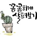 행복중심용산생협 이미지