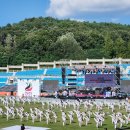 호림태권도 이미지