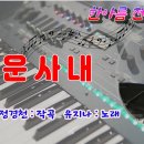 유지나의 미운사내 / 전자올겐 연주 이미지